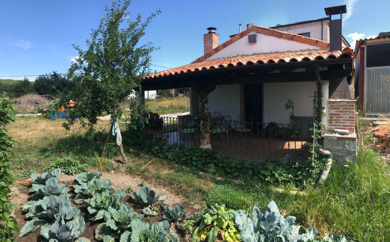 Casarejos Casa De Pueblo Con Merendero Alquilable Opcionalmente מראה חיצוני תמונה
